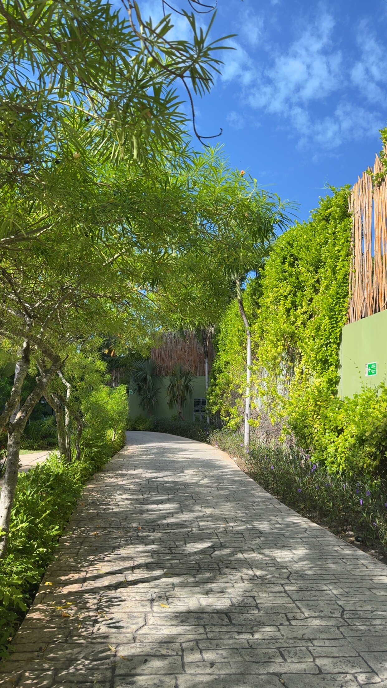 卡丽斯马阿祖尔法孚酒店-浴室