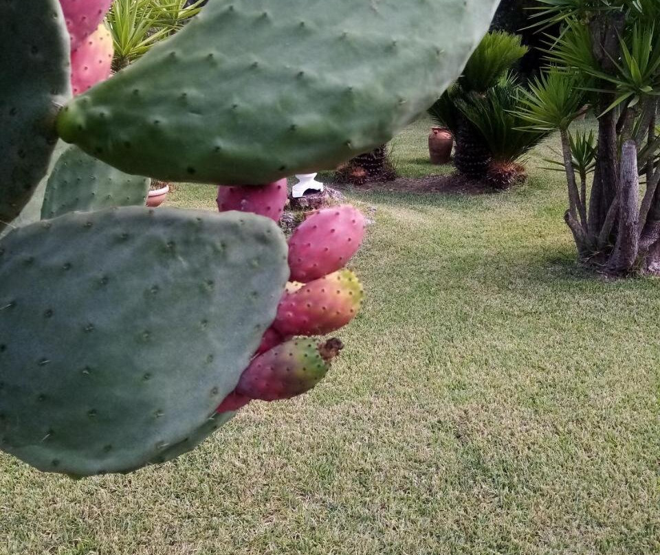 Laura酒店住宿-Mamena