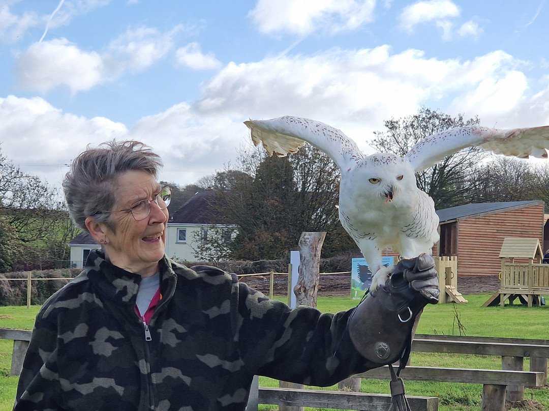 The British Bird of Prey Centre-喀麦登必去景点