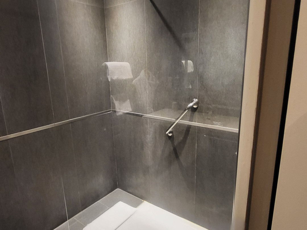 法兰西酒店主图