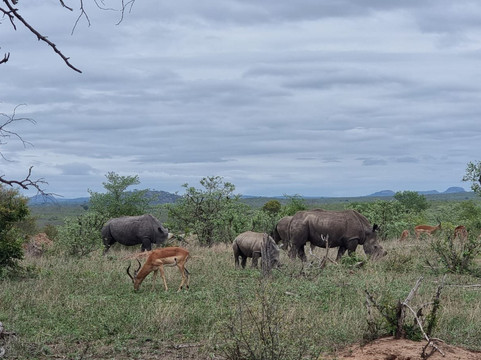 Mthunzi Safaris and Transfers-雾观必去景点