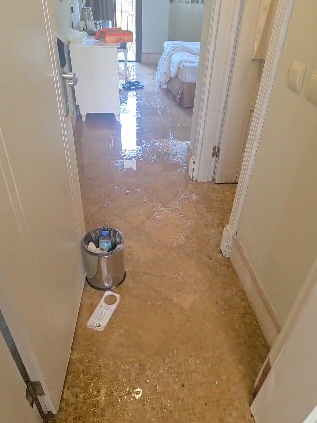 Telmessos Select-官方