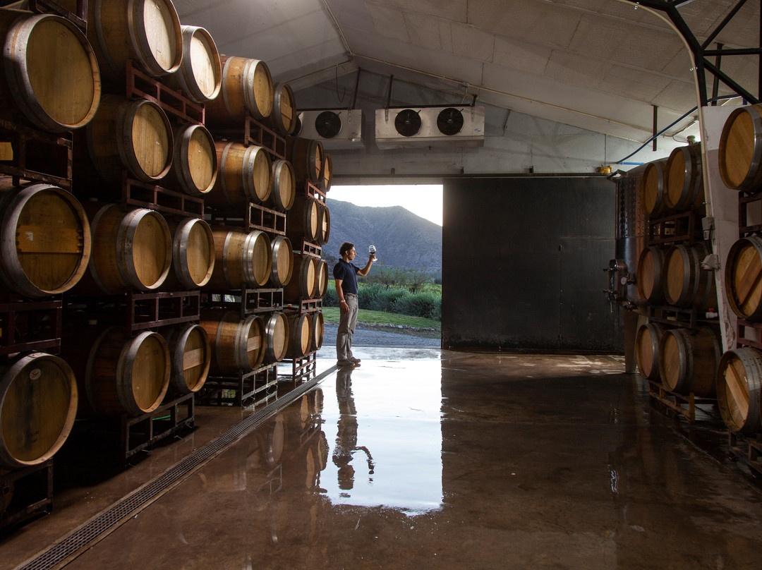 BESOAIN Wines-Pirque必去景点