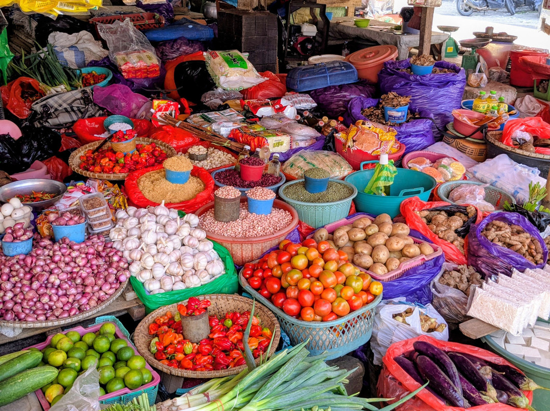 Toraja local guide-Tana Toraja必去景点