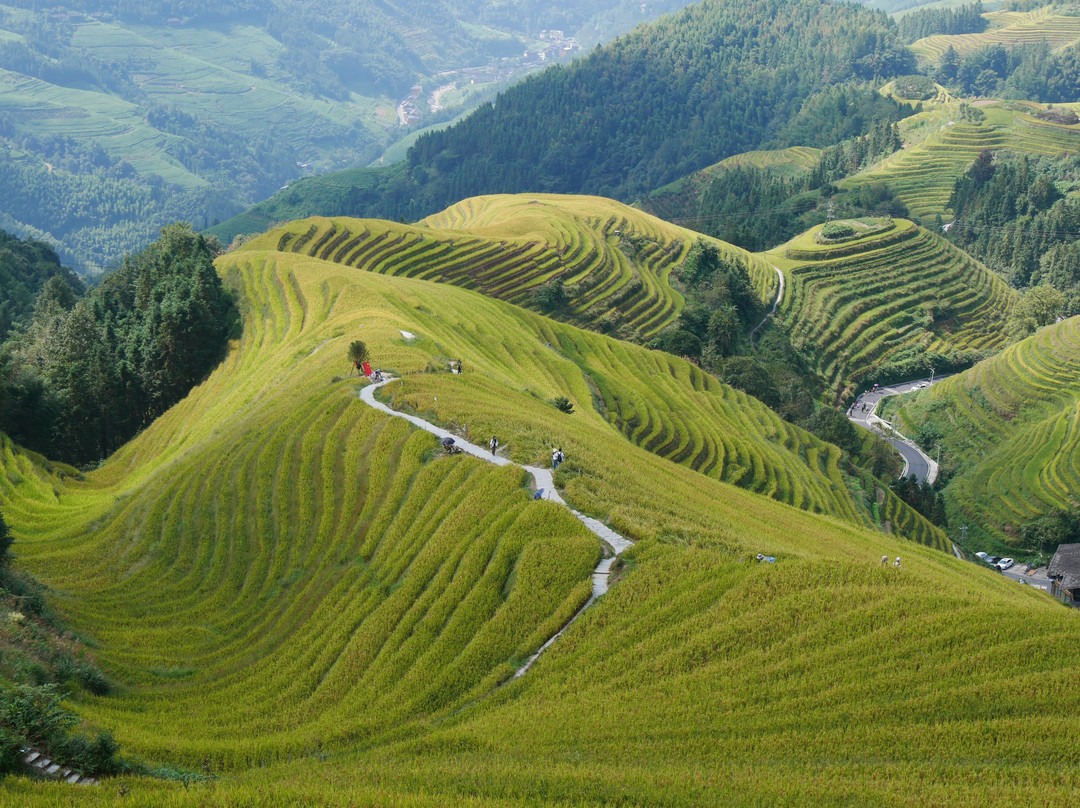 Longji Rice Terraces-桂林市必去景点