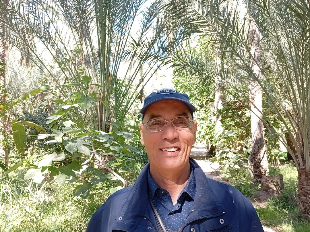 Ali private tour guide Tunisia-突尼斯必去景点