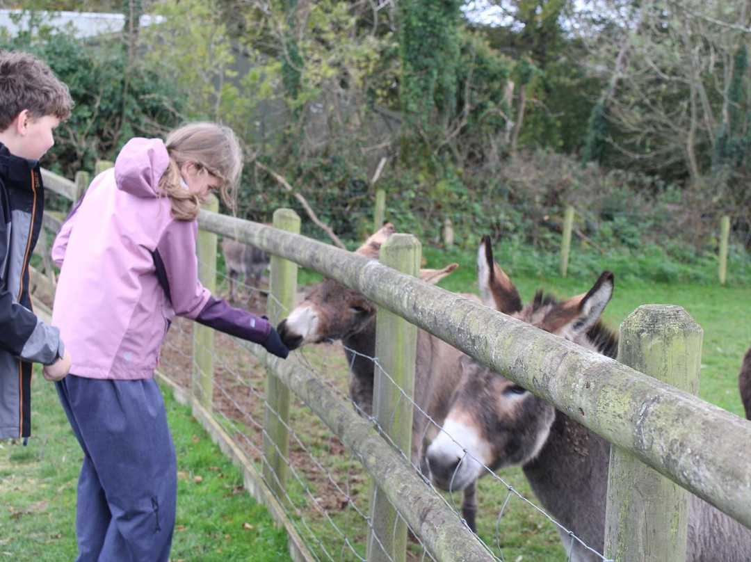 Woodlands Family Theme Park-达特茅斯必去景点