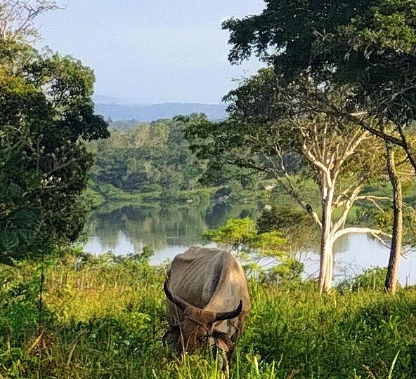 Fazenda Cassinum-Cachoeira必去景点