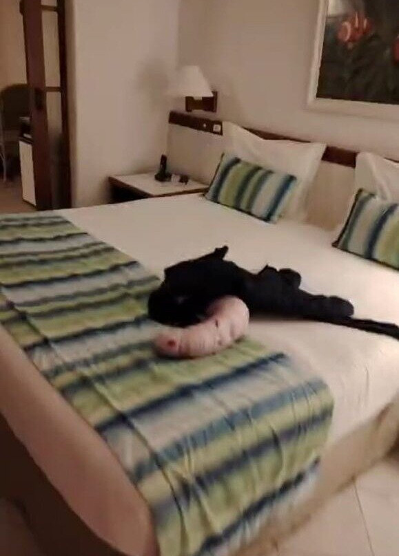 Hotel Costa Norte Ingleses主图