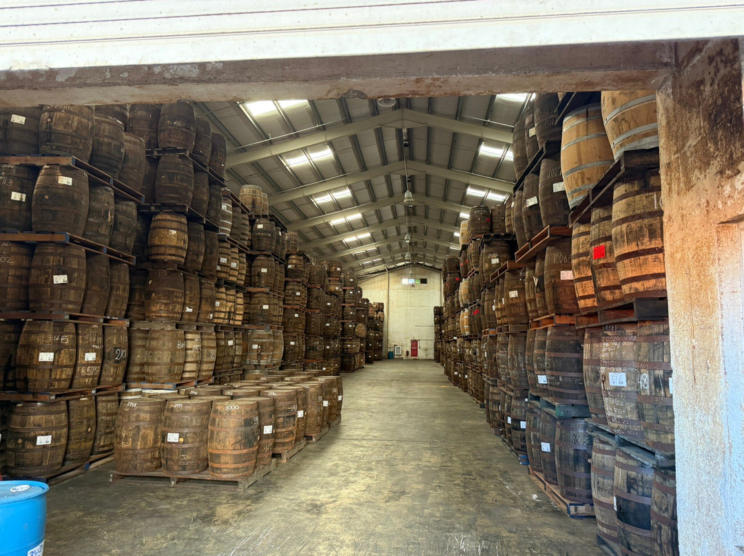 Mount Gay Rum Distillery-Benthams必去景点