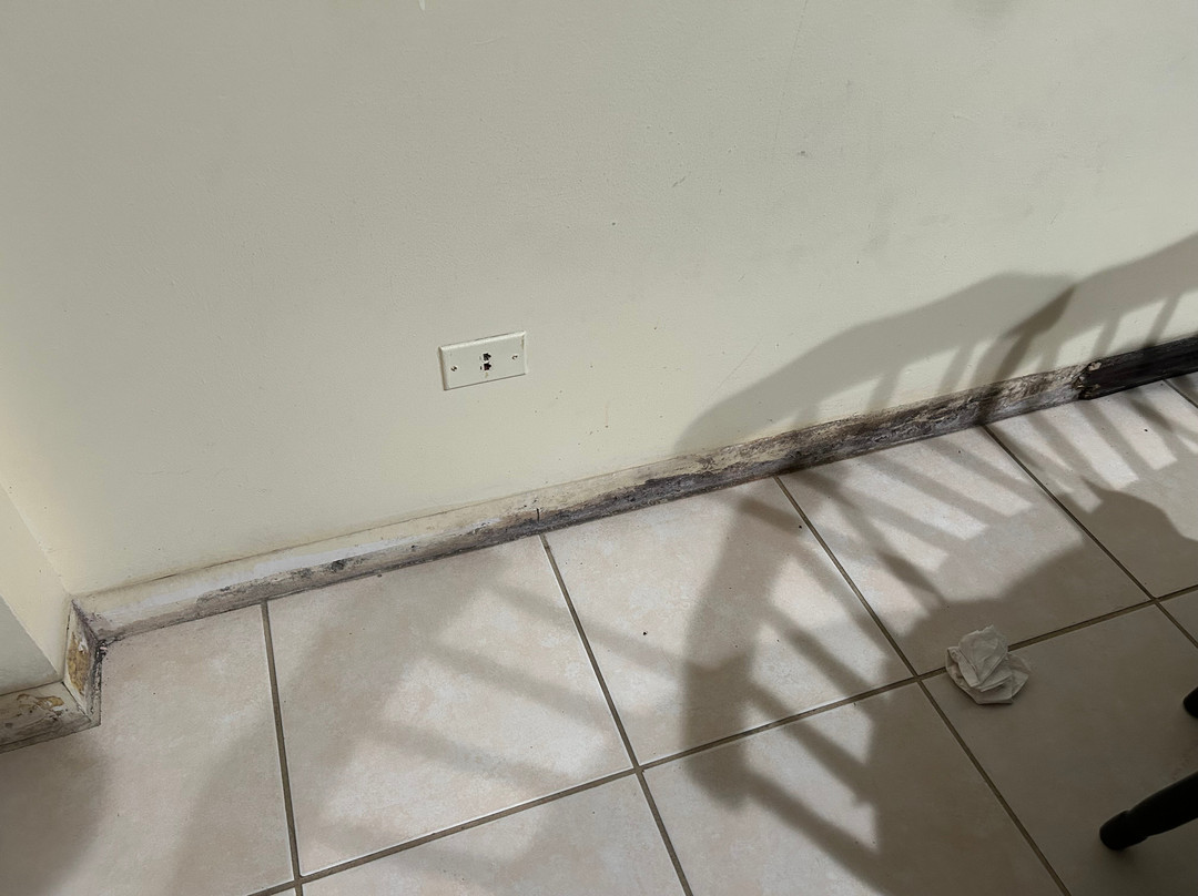 Condovac la Costa主图