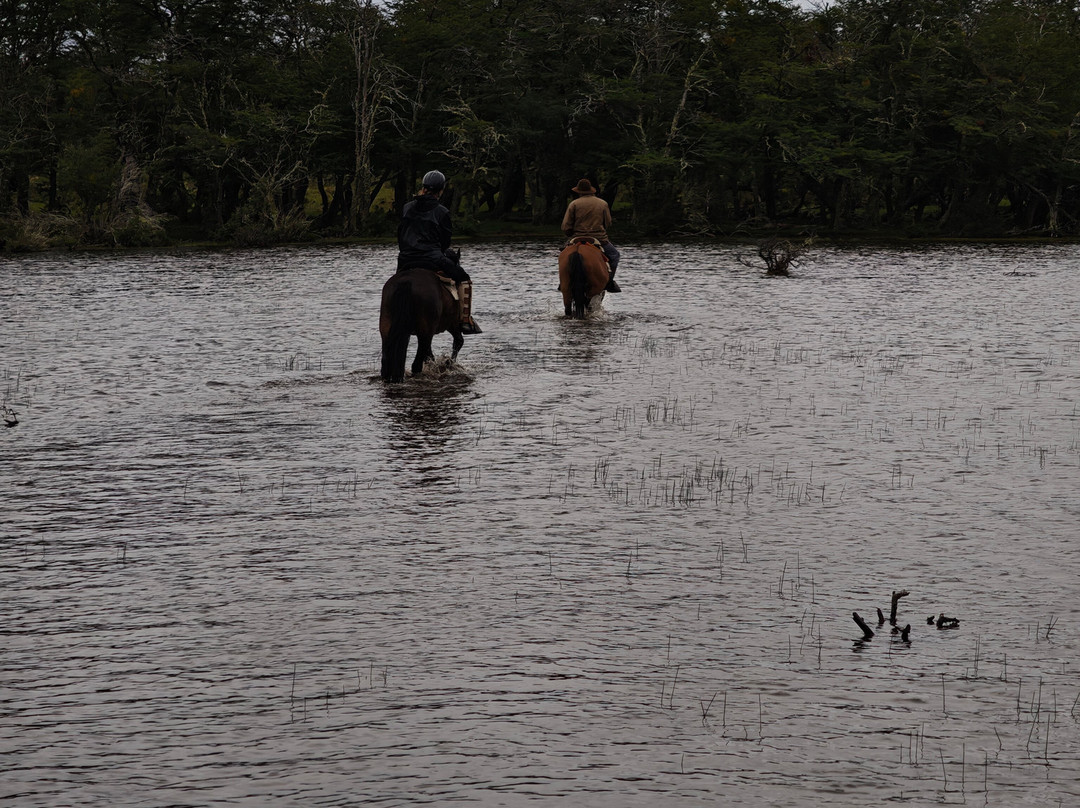 Cimarron Travel-Torres del Paine必去景点