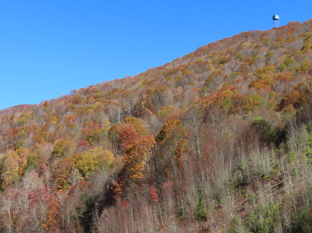 Soco Falls-Maggie Valley必去景点