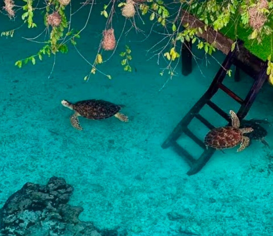 Salaam Cave Aquarium-Kizimkazi Dimbani必去景点