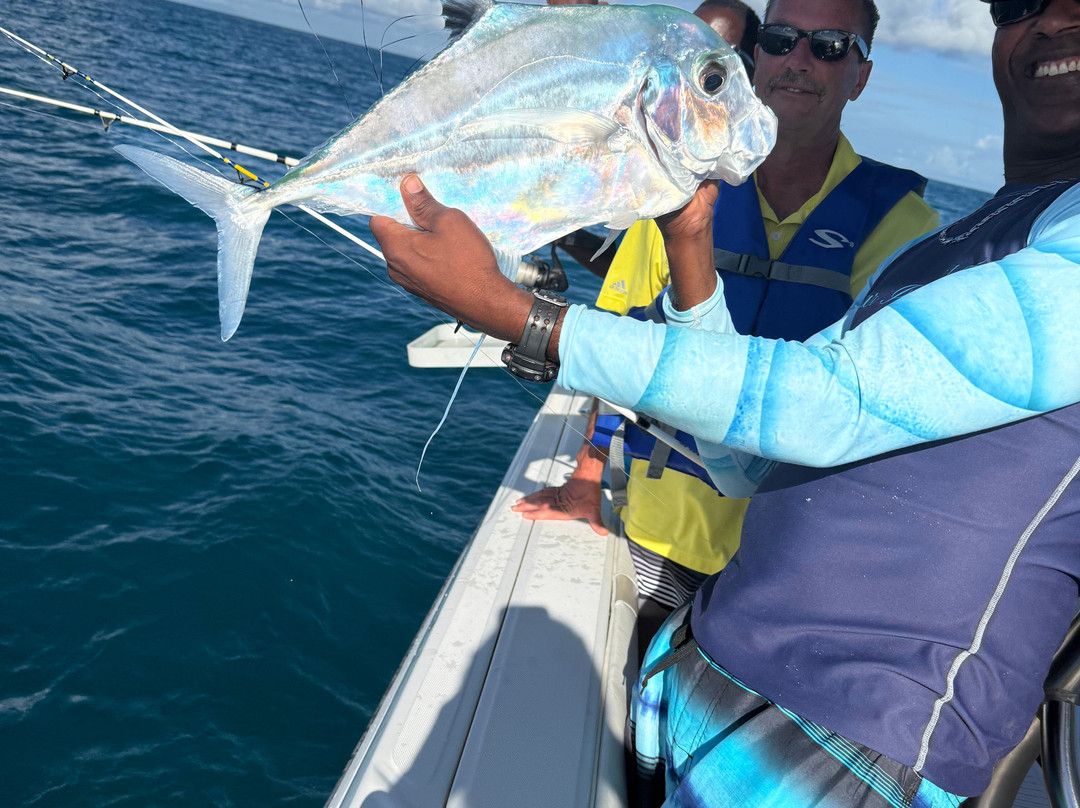 Sugar Island Tours-Jolly Harbour必去景点