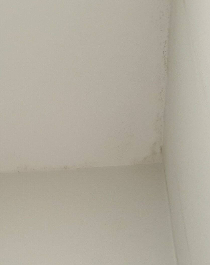 贝尔维尤市的湖泊-官方