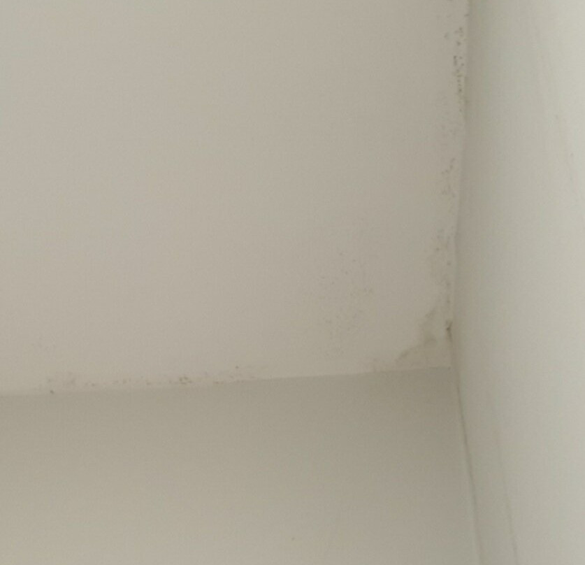 贝尔维尤市的湖泊主图