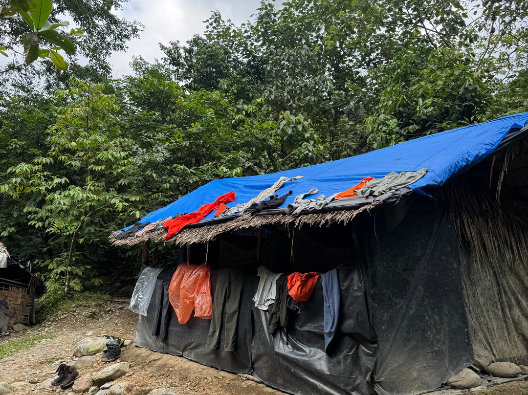 Sumatra Orangutan Trip-武吉拉旺必去景点