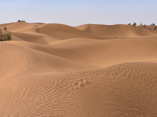 Sahara Surprise-迈哈米德必去景点