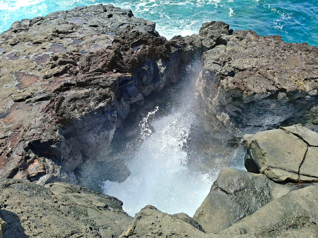 Nature Trails Mauritius-卡特勒博尔纳必去景点