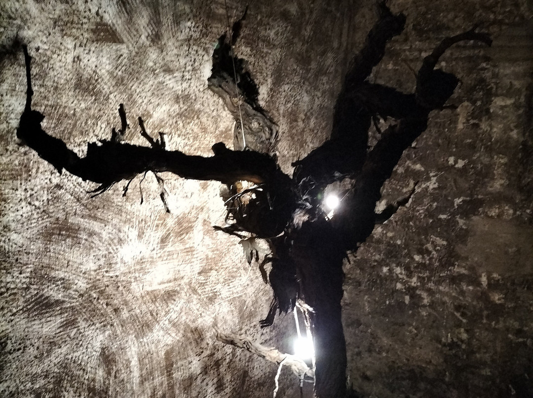 Bodegas Franco Espanolas-洛格罗尼奥必去景点