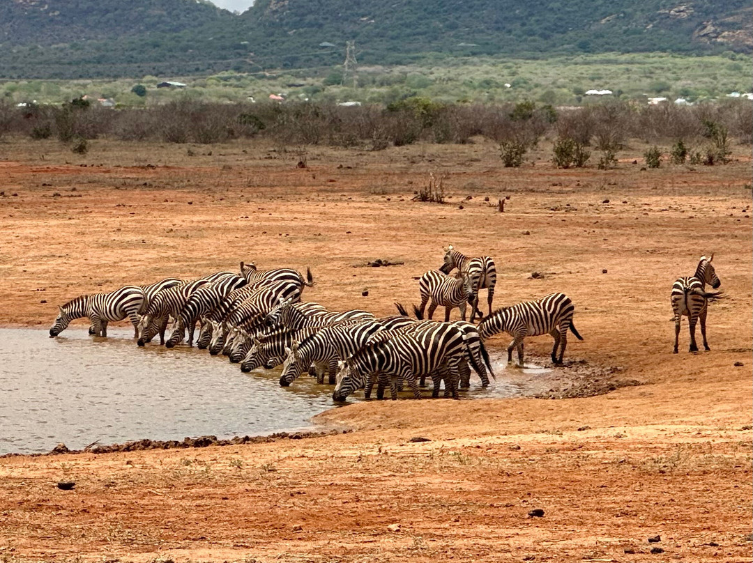 Northern Wild Hunters-班布里必去景点