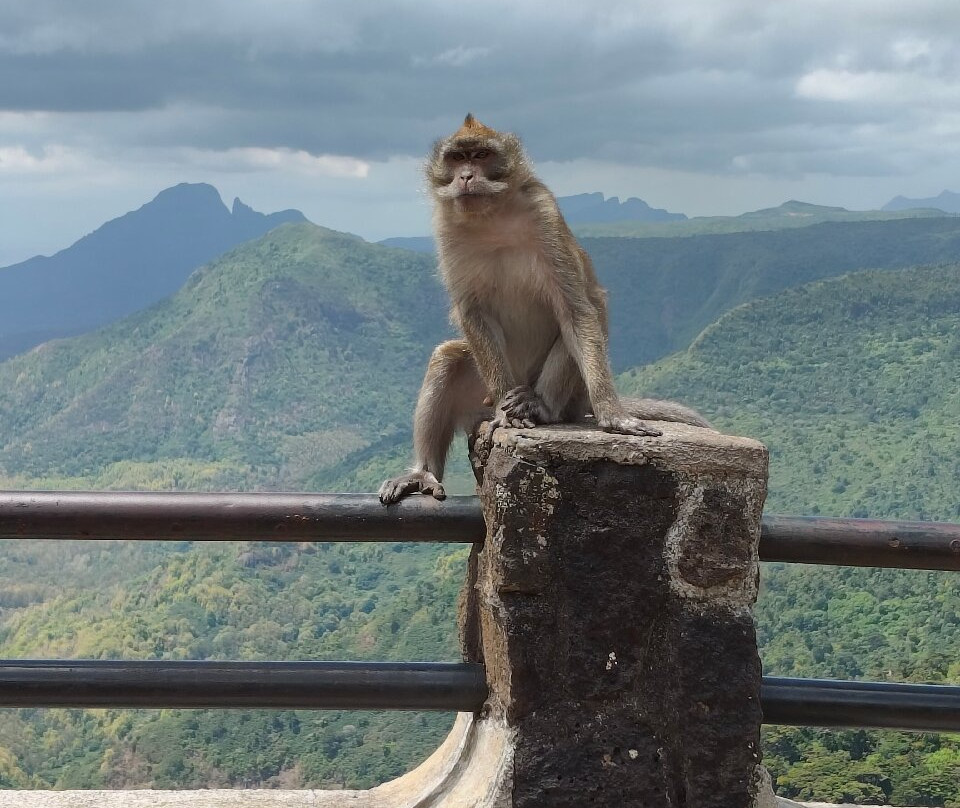 The Real Taxi Mauritius-Centre de Flacq必去景点