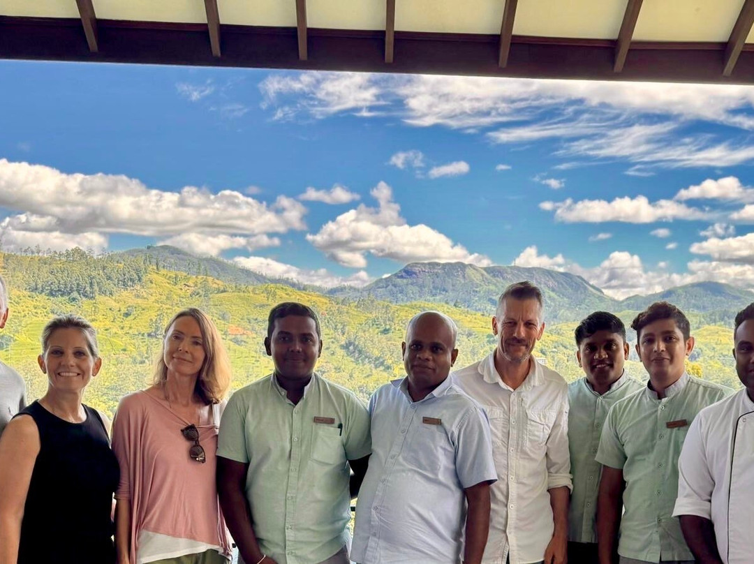 Camellia Hills主图