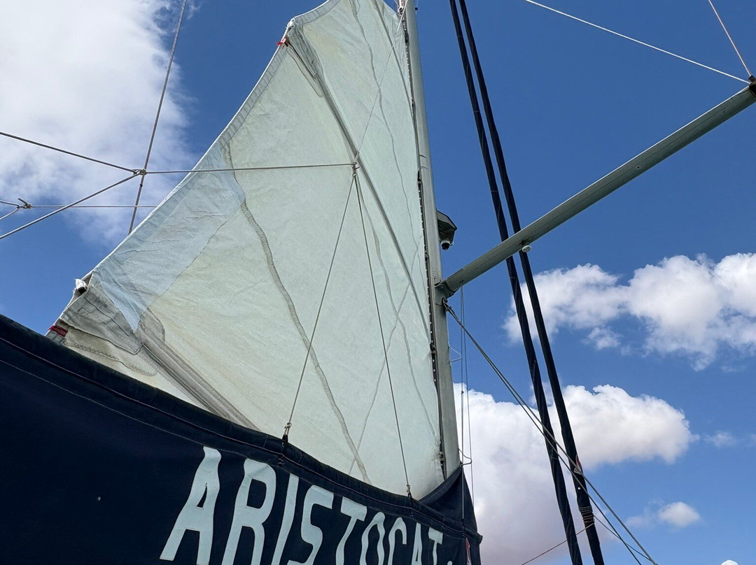 Perfect Nature Cruises-Monkey Mia必去景点