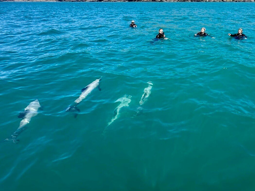 生态海洋水上行-阿卡罗阿必去景点