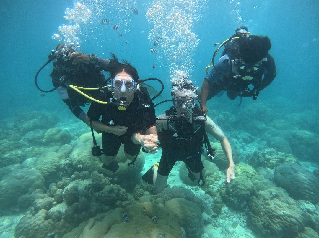 Seaman Diving-大湾必去景点