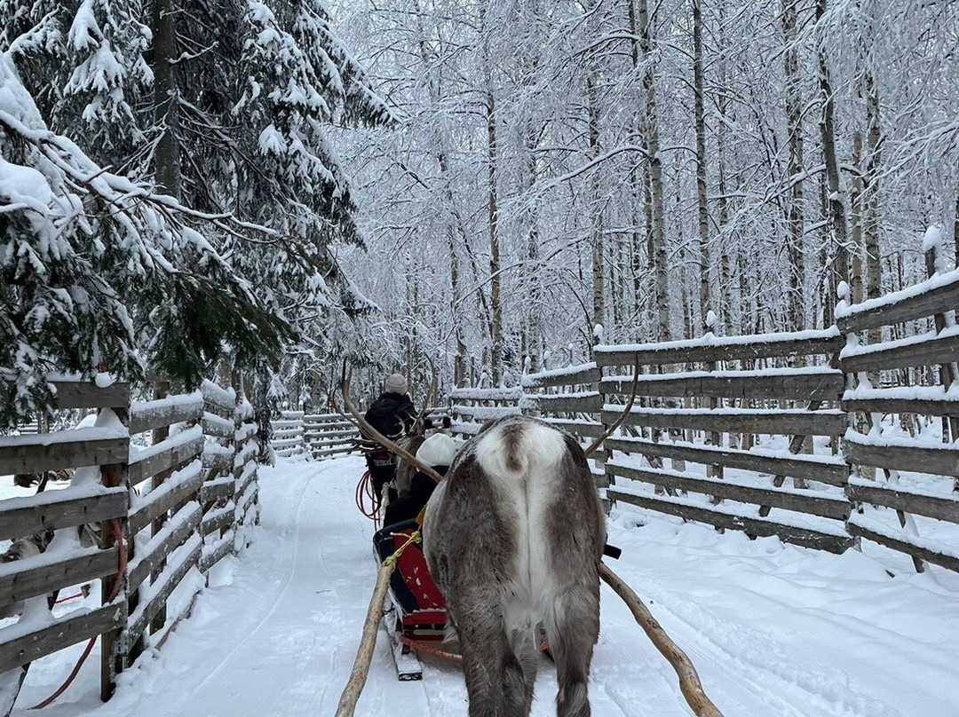 Sunny Safari-罗瓦涅米必去景点