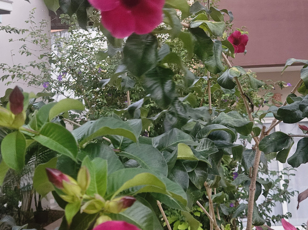 Kauano Pousada主图