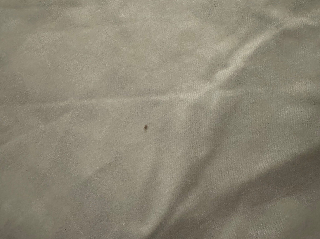 Best Western Fishers Indianapolis Area主图