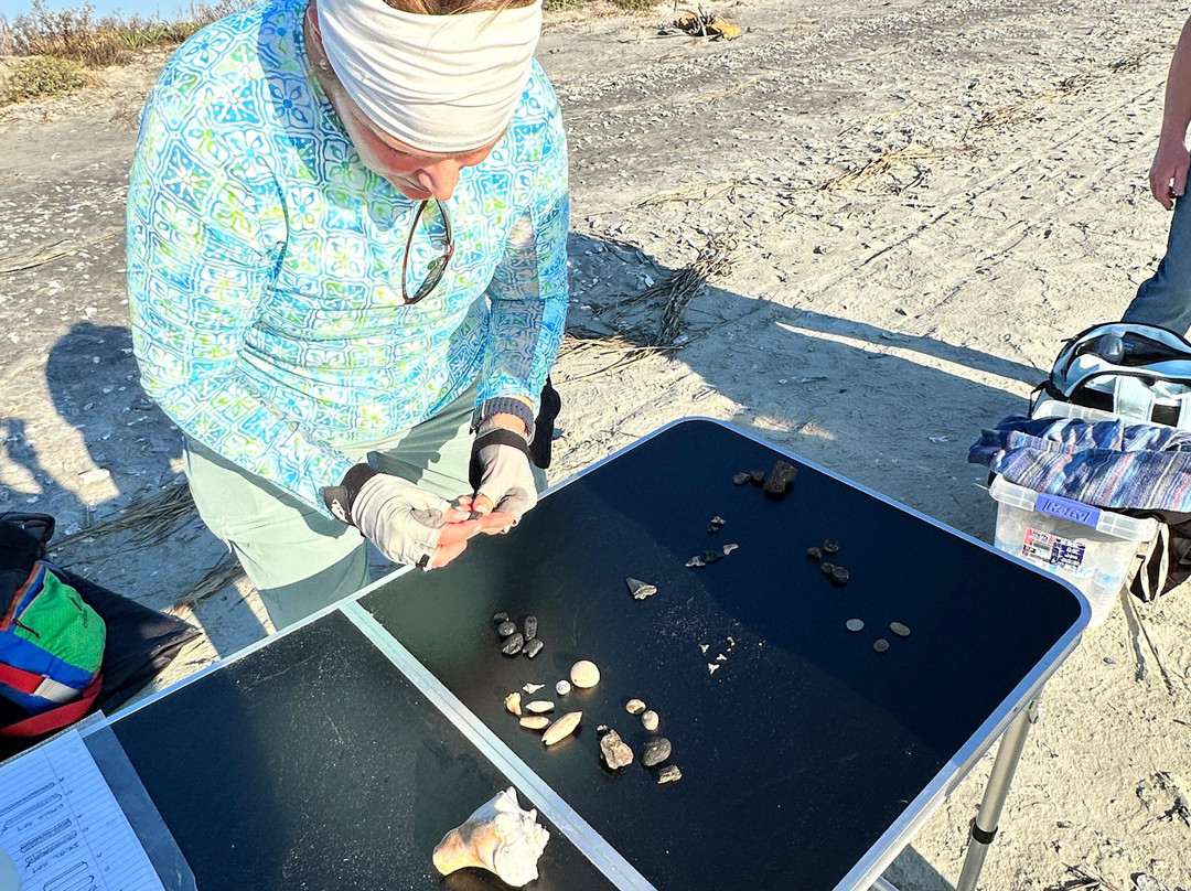 Charleston Fossil Adventures-查尔斯顿必去景点