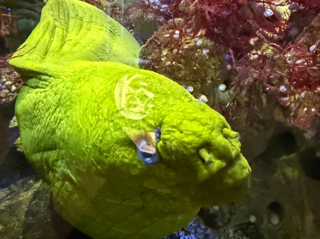 Aquarium du Limousin-利摩日必去景点