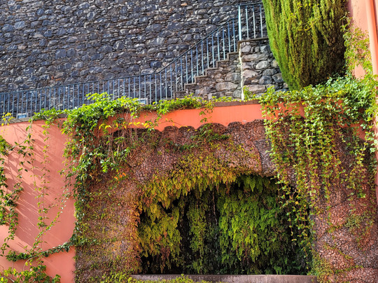 Free Walking Tours Funchal-沙尔必去景点