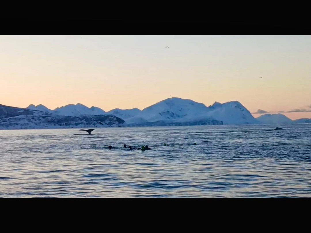 Freediving school - Apneists UK-曼彻斯特必去景点