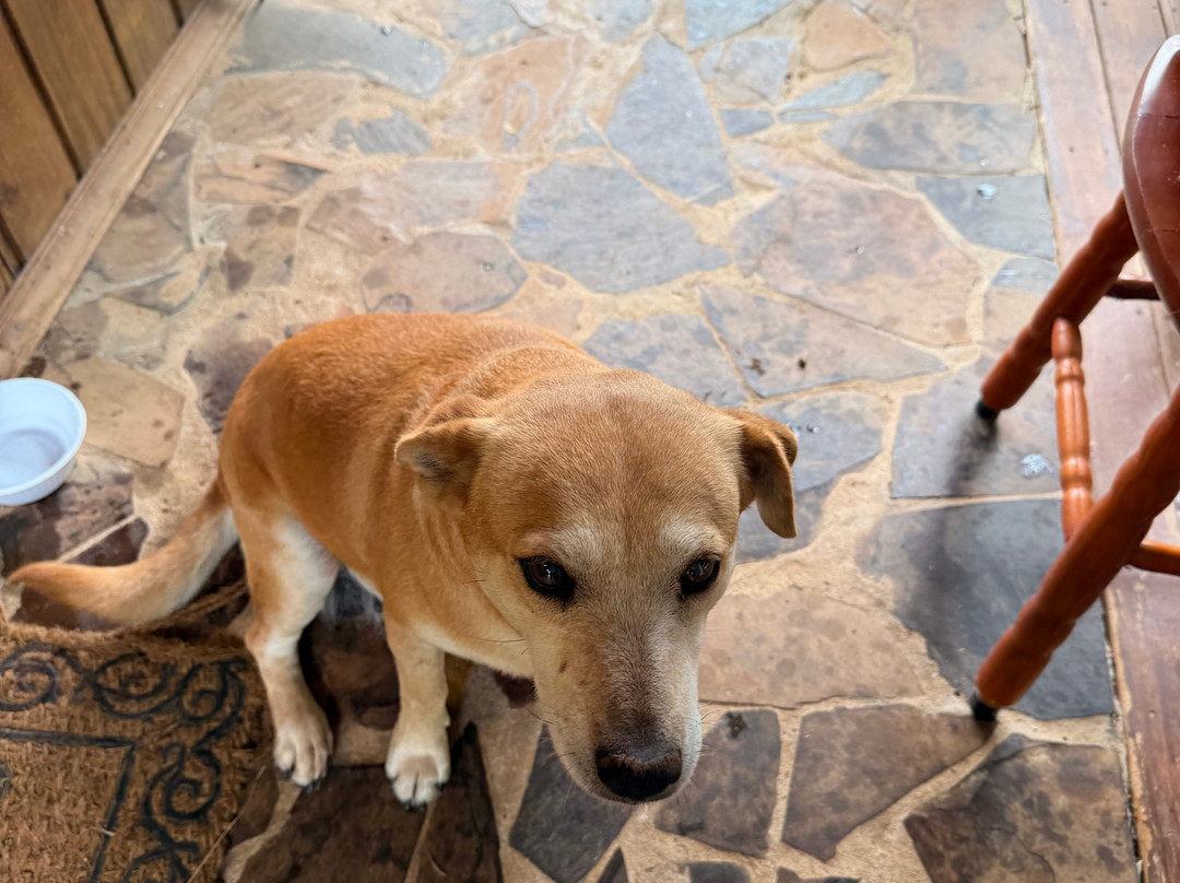 Sítio das Abelhas-Taquara必去景点