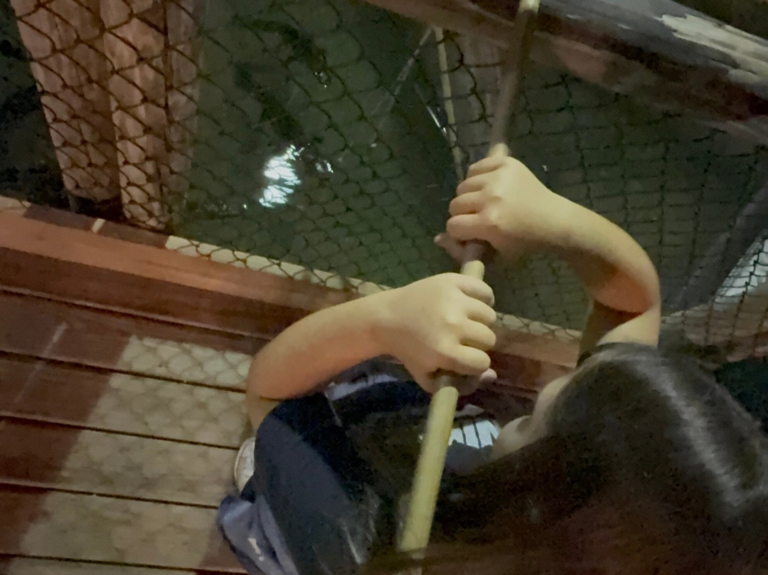 Congo River Golf-博尼塔斯普林斯必去景点