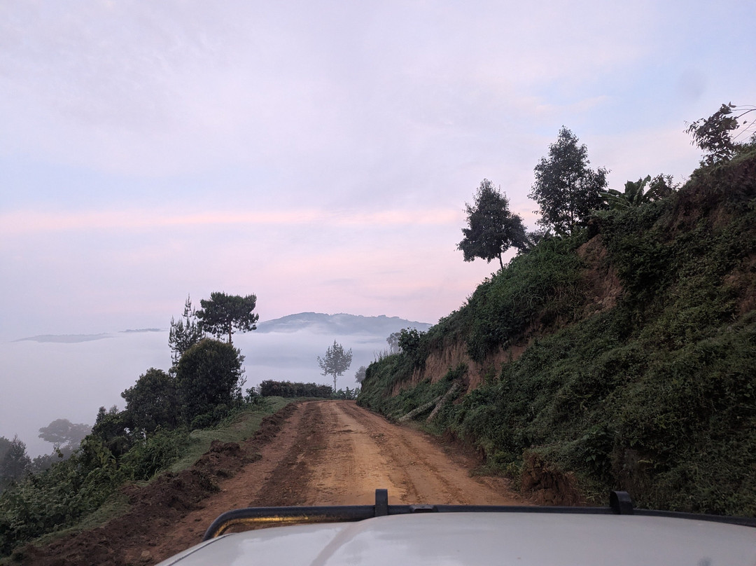 African Jungle Adventures-卡巴莱必去景点