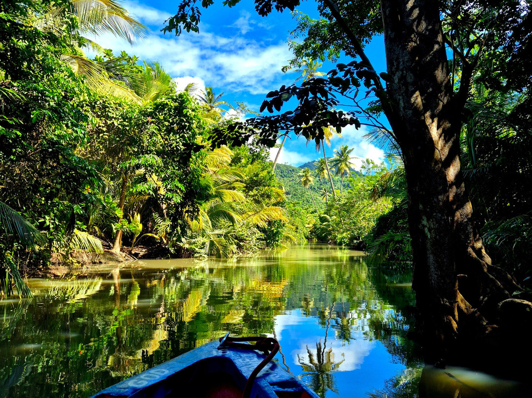 Sheppee Fun Tours Dominica-罗索必去景点