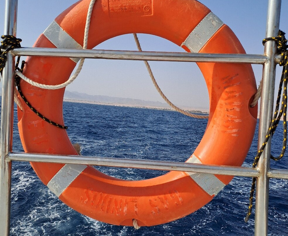 Ducks Diving Safaga-Safaga必去景点