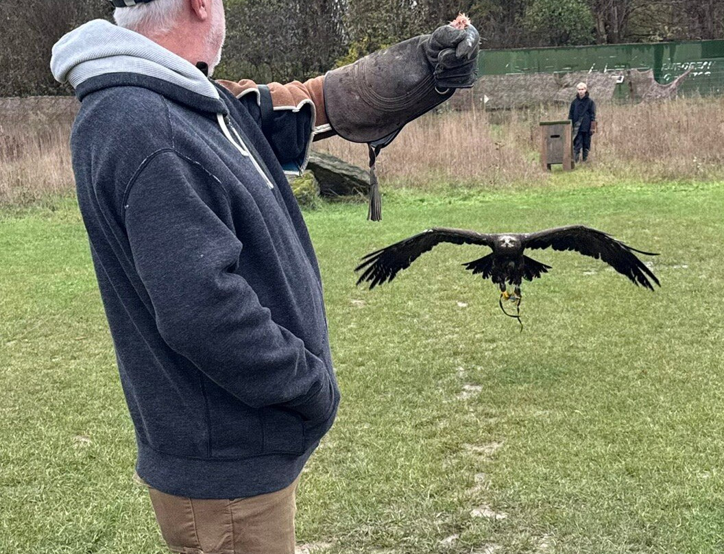 Millets Farm Falconry Centre-弗里福德希斯必去景点