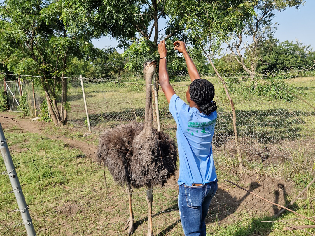 TANF Charity-Tours-Aburi必去景点