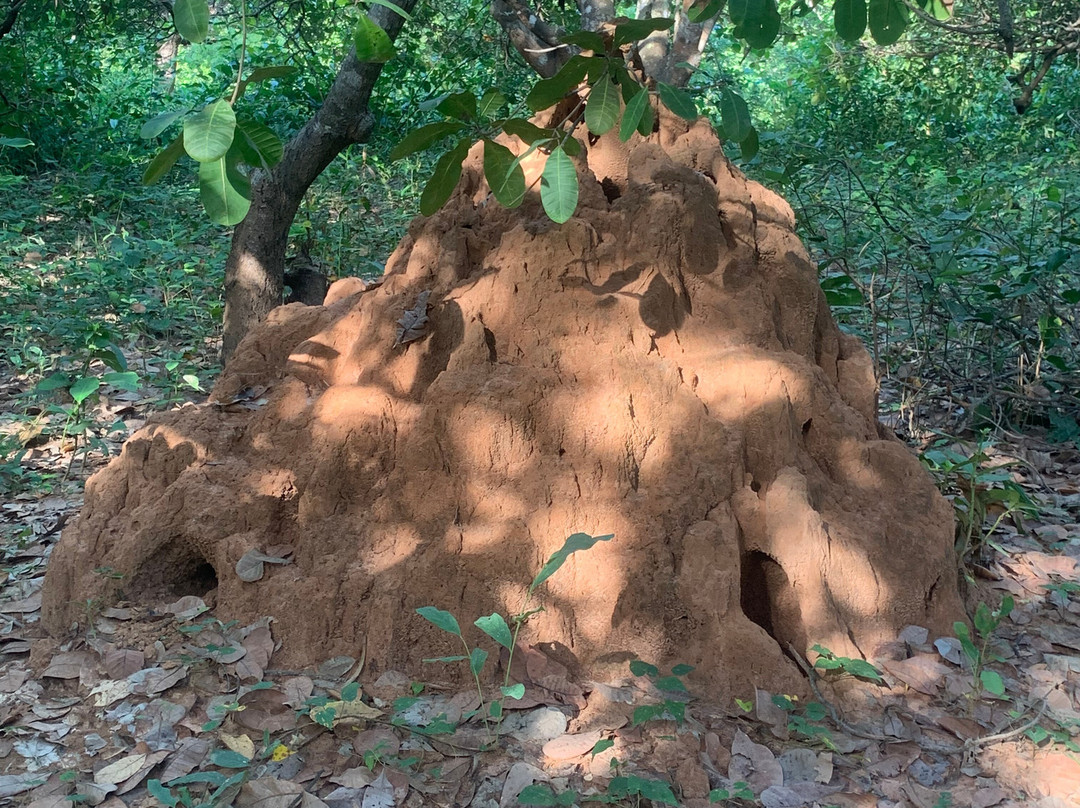 Casamance Vtt-Oussouye必去景点