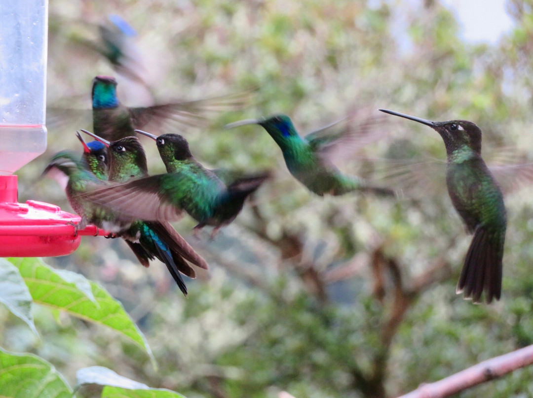 C. R. Referrals Travel-Atenas必去景点