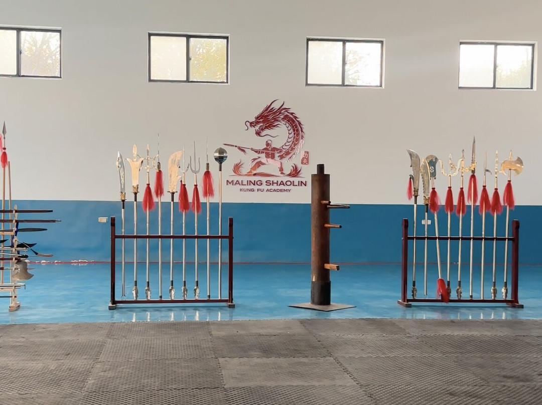 Maling Shaolin Kung Fu Academy-新沂市必去景点