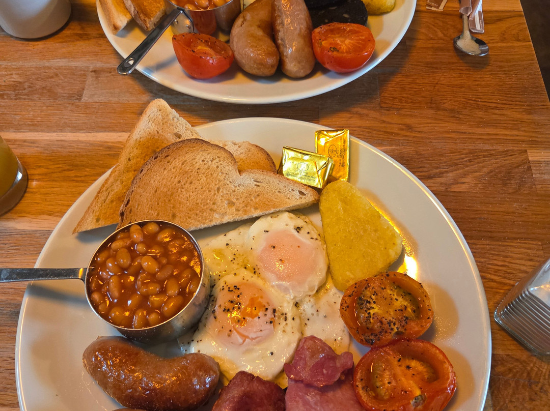 金羊毛旅馆主图