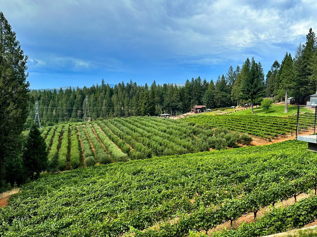 Delfino Farms-Camino必去景点